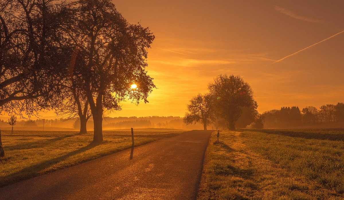 The Dusk Moor