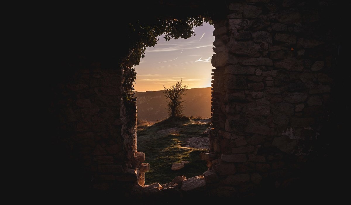 The Dusk Moor