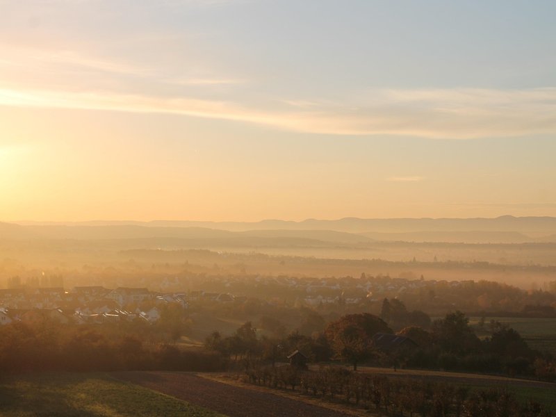 The Dusk Moor