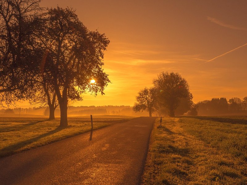 The Dusk Moor