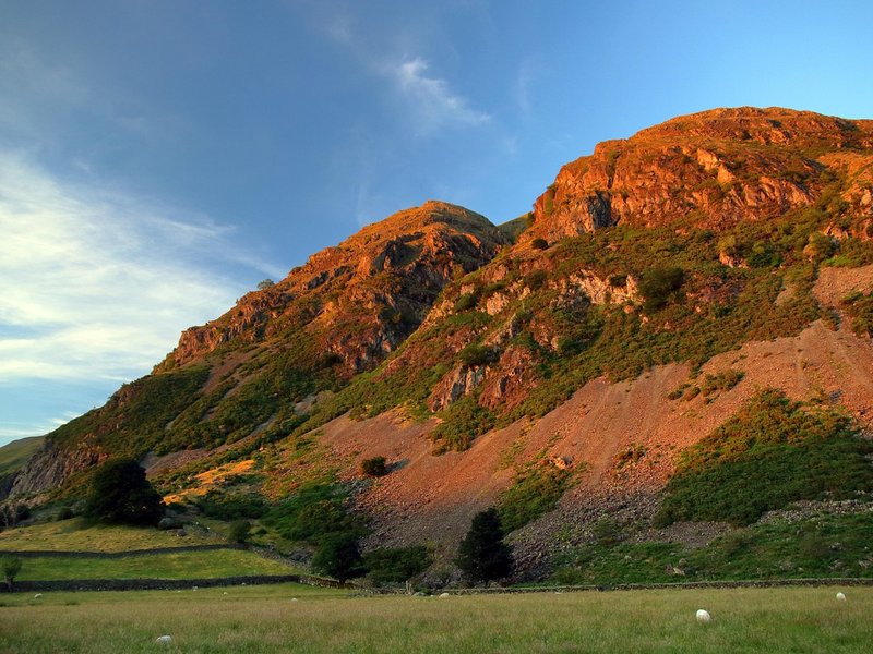 The Dusk Moor
